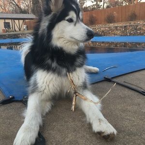 Meet your Posher, Juan